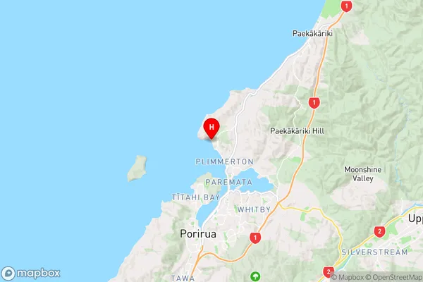 Hongoeka,Wellington Region Map