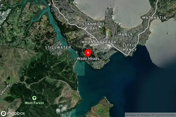 Wade Heads,Auckland Satellite Map