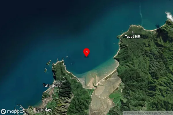 Wainui Bay,Tasman Satellite Map