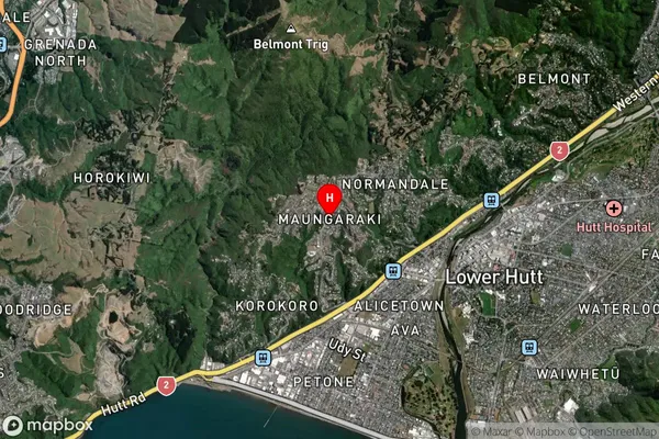 Maungaraki,Wellington Satellite Map