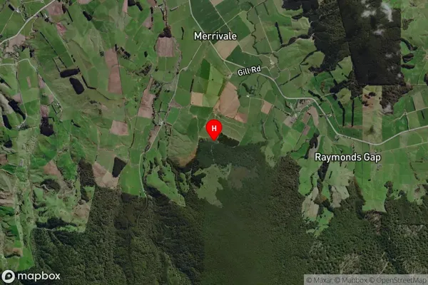 Merrivale,Southland Satellite Map