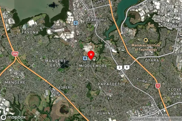 Middlemore Hospital,Auckland Satellite Map