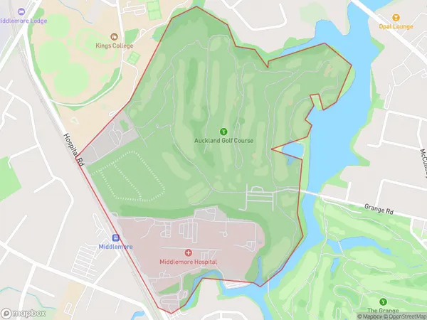 Middlemore Hospital, Auckland Polygon Area Map