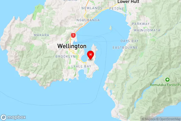 Miramar,Wellington Region Map