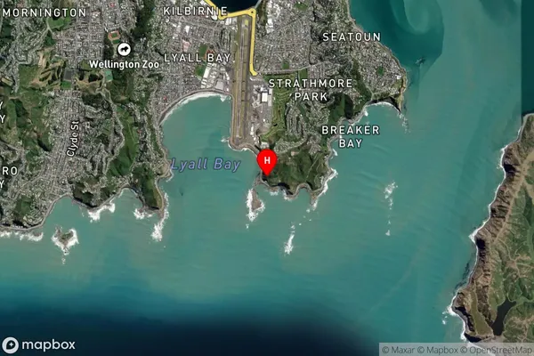 Moa Point,Wellington Satellite Map