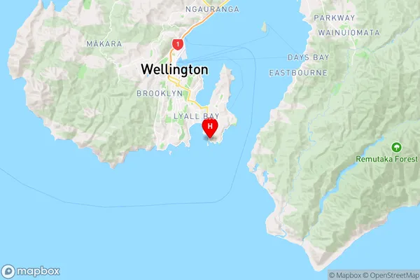 Moa Point,Wellington Region Map