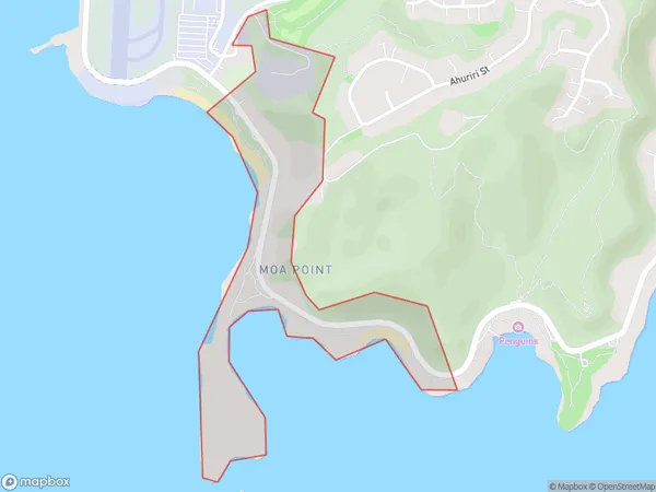 Moa Point, Wellington Polygon Area Map