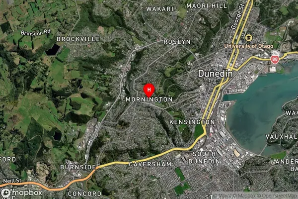 Mornington,Otago Satellite Map