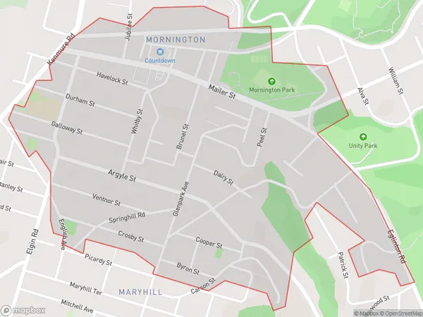 Mornington, Otago Polygon Area Map