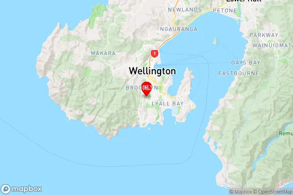 Mornington,Wellington Region Map