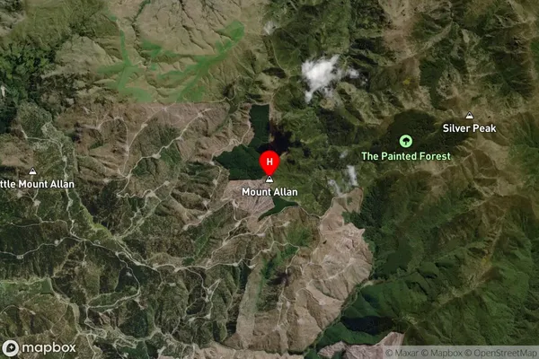 Mount Allan,Otago Satellite Map