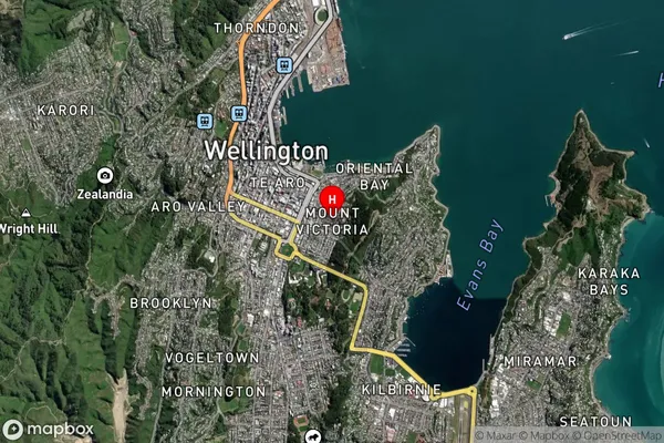 Mount Victoria,Wellington Satellite Map