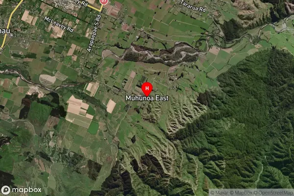 Muhunoa East,Manawatu-Wanganui Satellite Map