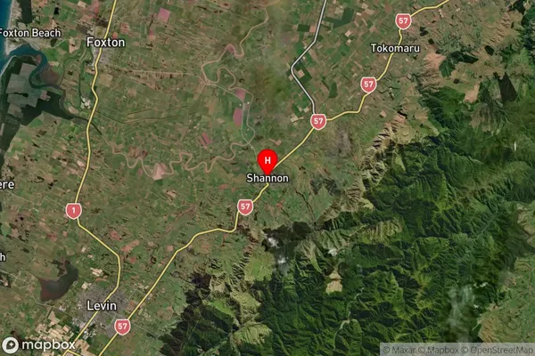 Shannon, Manawatu-Wanganui Satellite Map