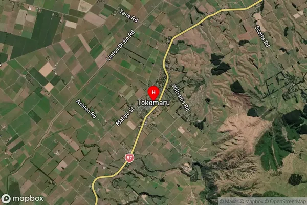 Tokomaru, Manawatu-Wanganui Satellite Map