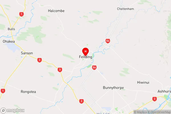 Feilding, Manawatu-Wanganui Region Map