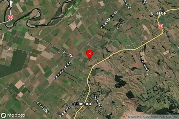 Opiki, Manawatu-Wanganui Satellite Map