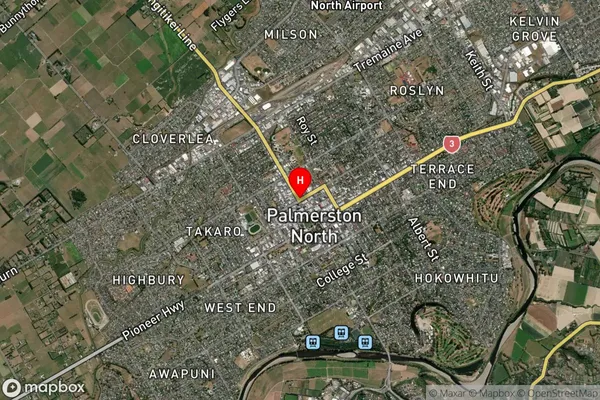 Palmerston North Central, Manawatu-Wanganui Satellite Map