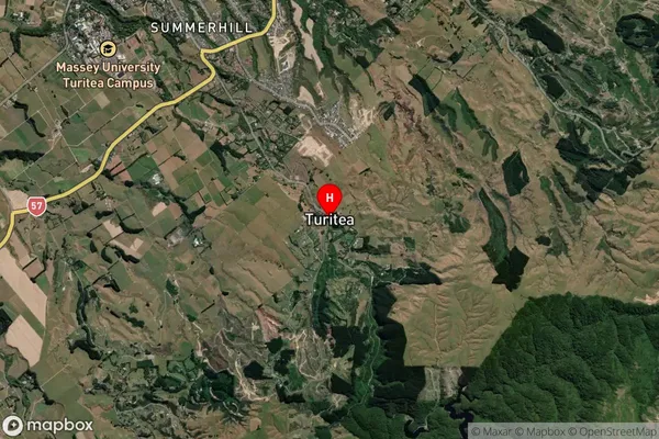 Turitea, Manawatu-Wanganui Satellite Map