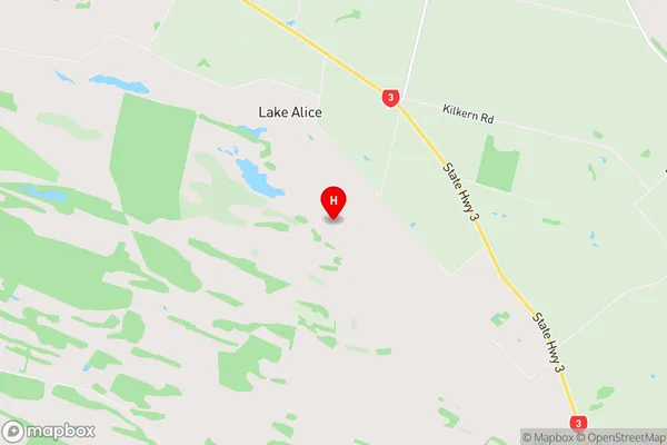 Lake Alice, Manawatu-Wanganui Region Map