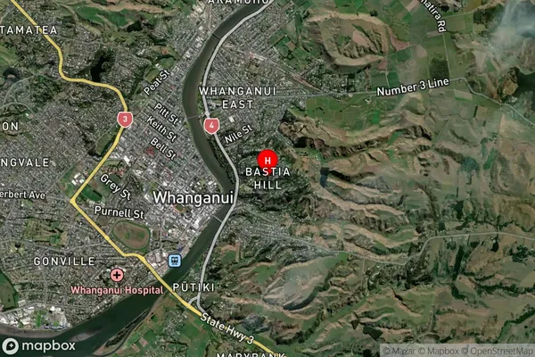 Bastia Hill, Manawatu-Wanganui Satellite Map