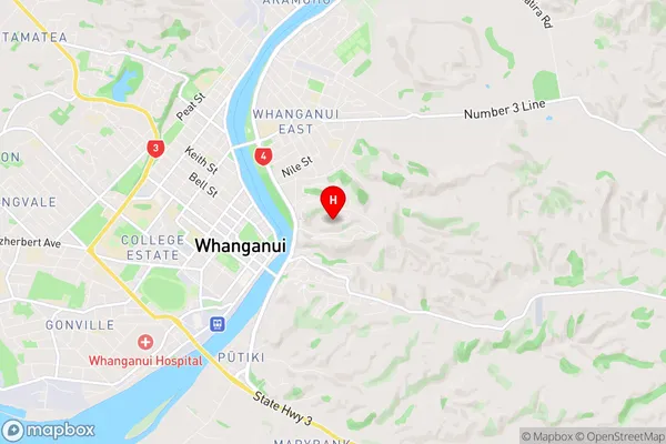 Bastia Hill, Manawatu-Wanganui Region Map