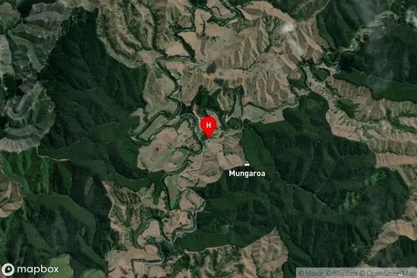 Mangamahu, Manawatu-Wanganui Satellite Map