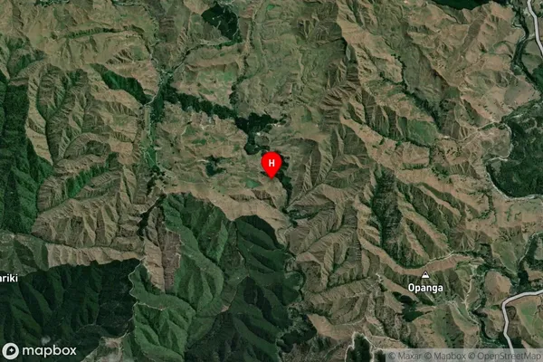 Parikino, Manawatu-Wanganui Satellite Map