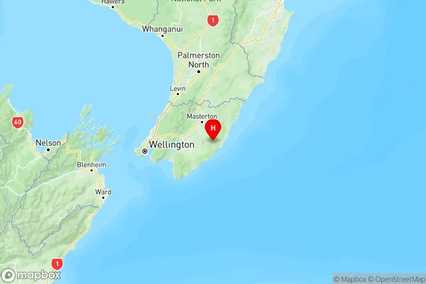 Te Wharau, Wellington Region Map