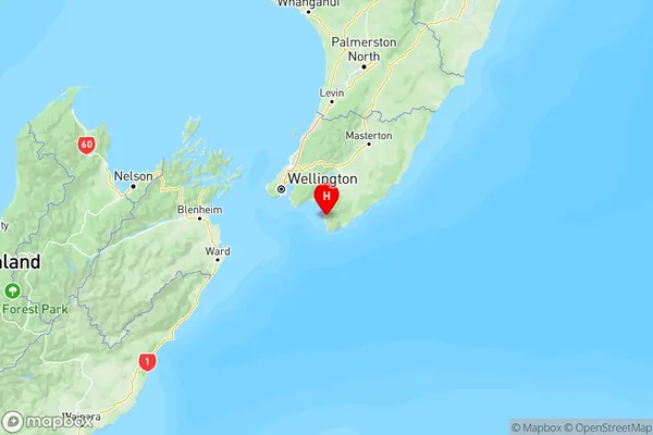 Cape Palliser, Wellington Region Map