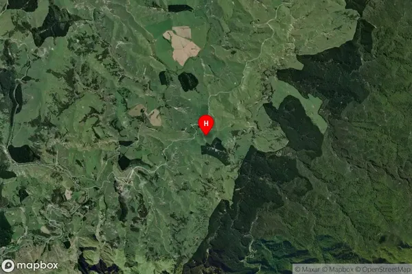 Tuturumuri, Wellington Satellite Map