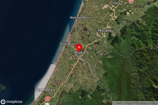 Otaki, Wellington Satellite Map