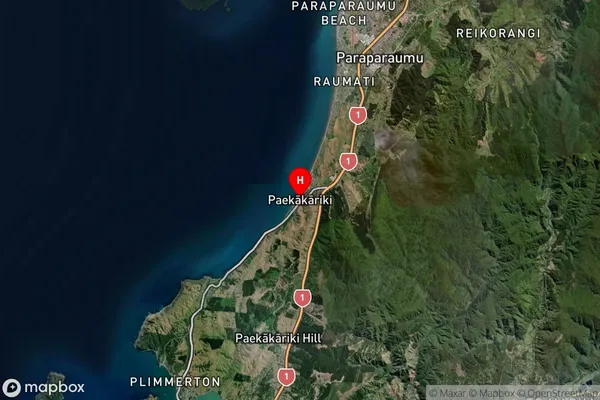 Paekakariki, Wellington Satellite Map