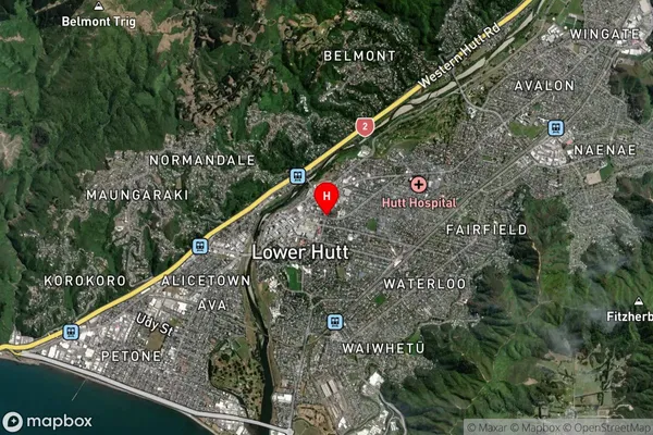 Central Hutt, Wellington Satellite Map