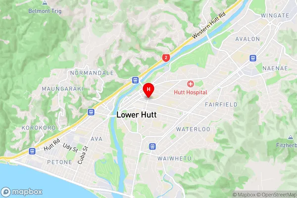 Central Hutt, Wellington Region Map