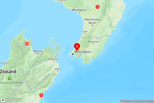 Naenae, Wellington Region Map