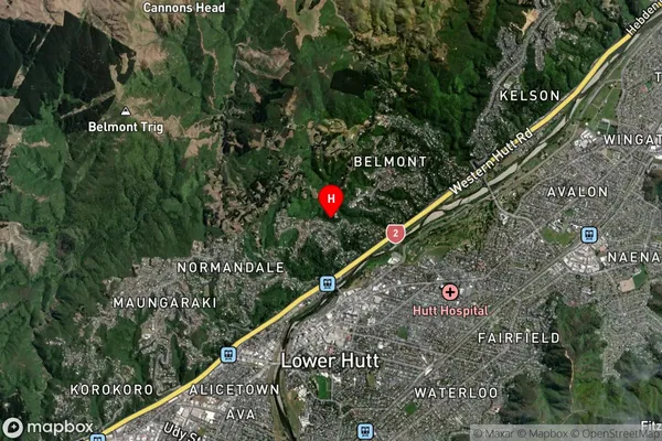 Tirohanga, Wellington Satellite Map