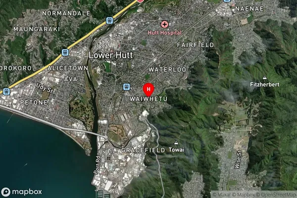 Waiwhetu, Wellington Satellite Map