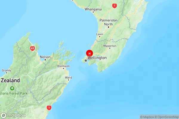 York Bay, Wellington Region Map