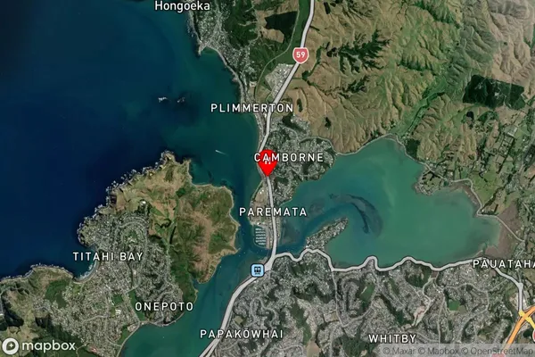 Mana, Wellington Satellite Map