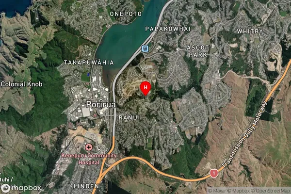 Porirua, Wellington Satellite Map