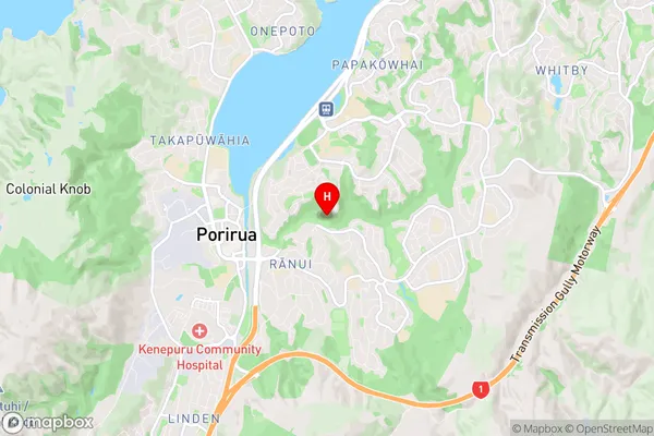 Porirua, Wellington Region Map