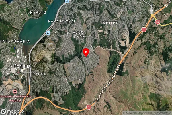 Waitangirua, Wellington Satellite Map