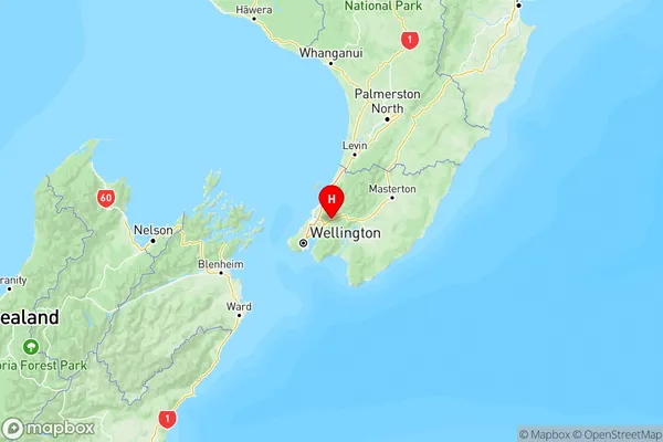 Elderslea, Wellington Region Map