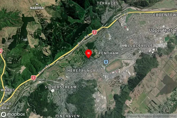 Heretaunga, Wellington Satellite Map