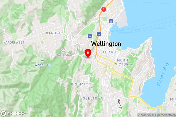 Aro Valley, Wellington Region Map