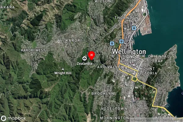 Highbury, Wellington Satellite Map