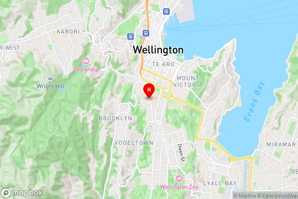 Mount Cook, Wellington Region Map