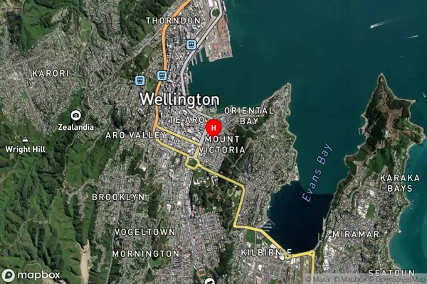 Mount Victoria, Wellington Satellite Map