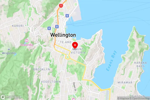 Mount Victoria, Wellington Region Map